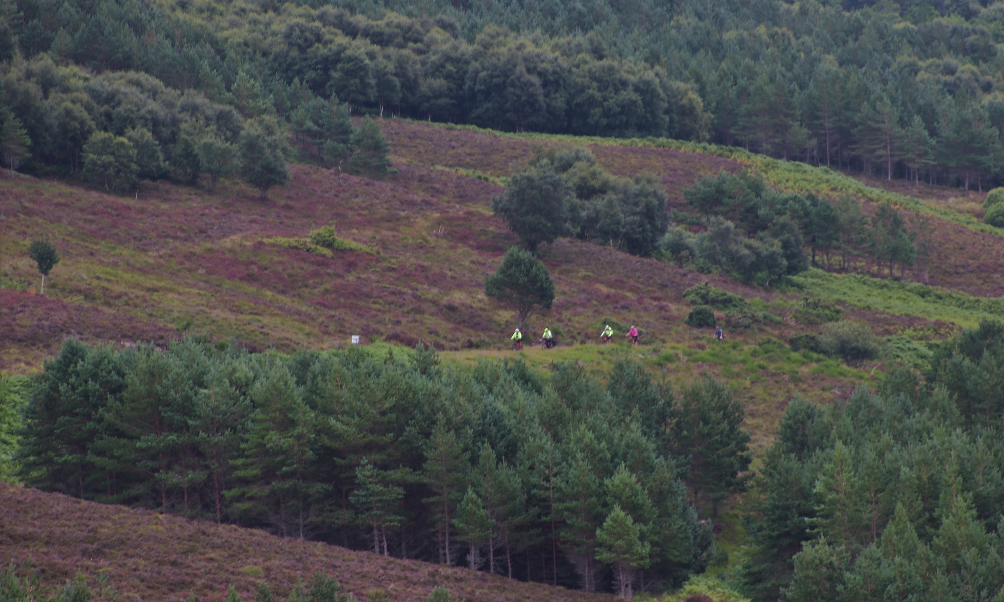 Photos from our Far North Cycling Holiday